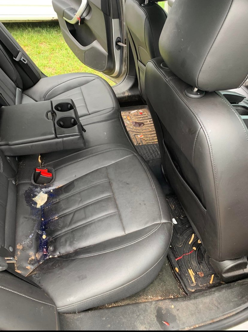 Interior Premium Before