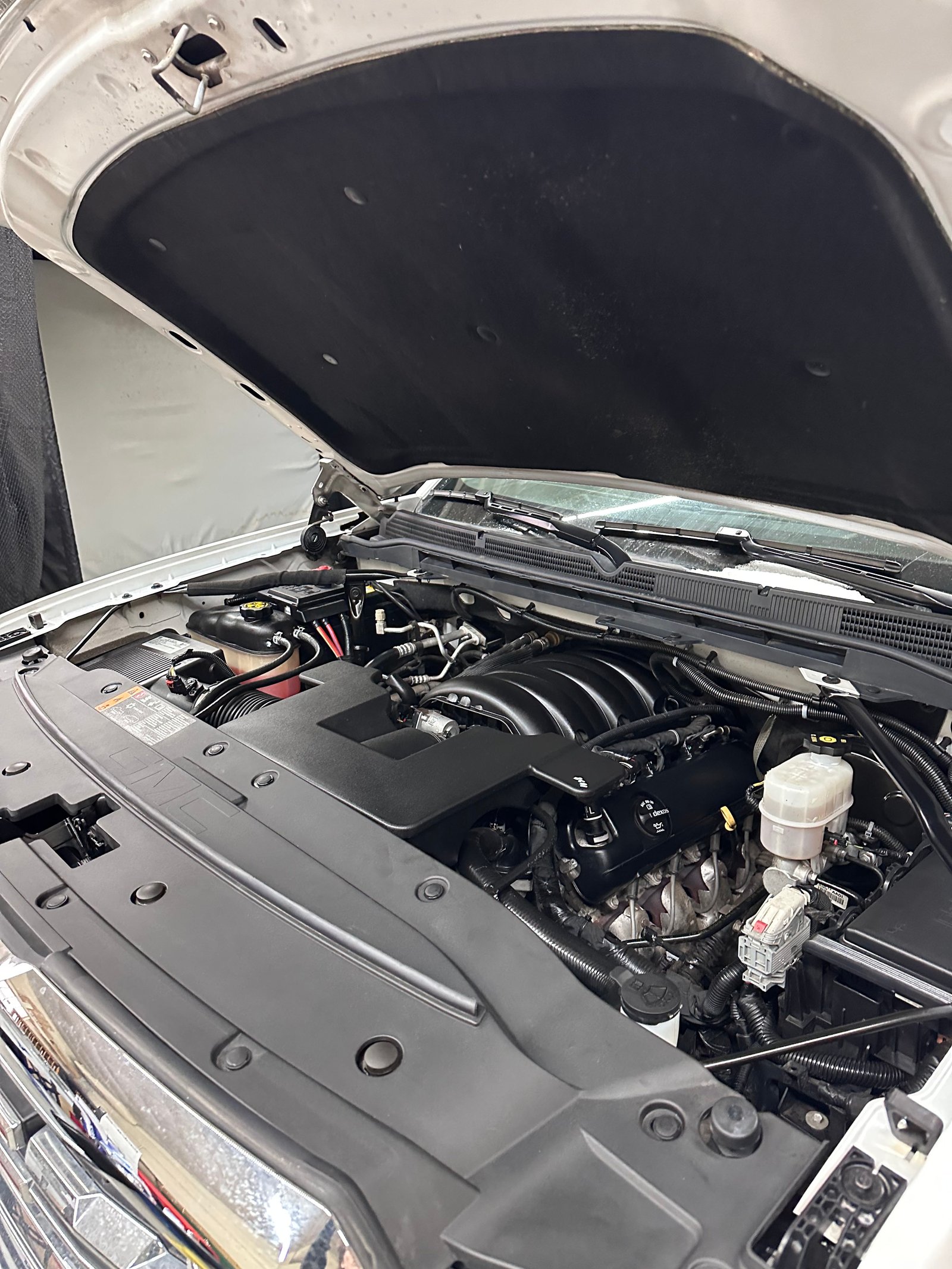 Engine Bay Cleaning After